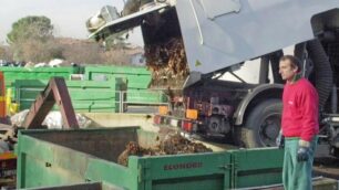 Seregno: arriverà a brevela raccolta del verde a domicilio