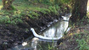 Veduggio, marea nera nell’acquaFossarone ancora sotto bonifica