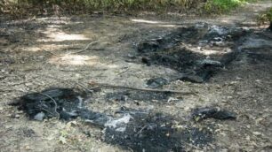 Auto incendiate, squillo e malavitaE’ allarme nei boschi lentatesi