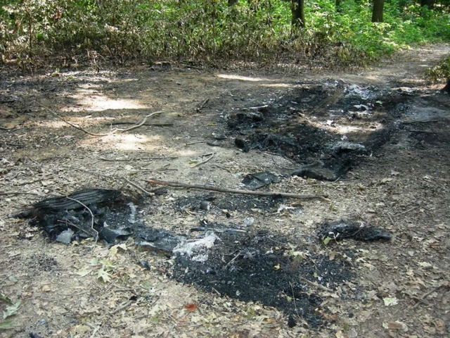 Auto incendiate, squillo e malavitaE’ allarme nei boschi lentatesi
