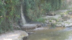 Un fiume di liquami nel LambroDenuncia delle guardie ecologiche