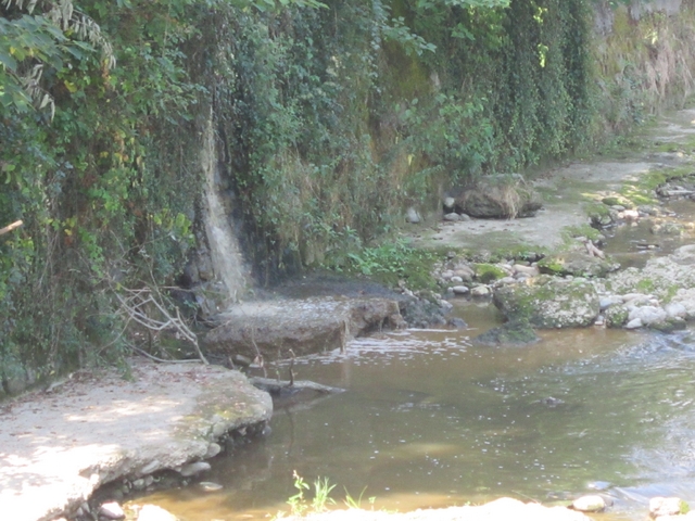 Un fiume di liquami nel LambroDenuncia delle guardie ecologiche