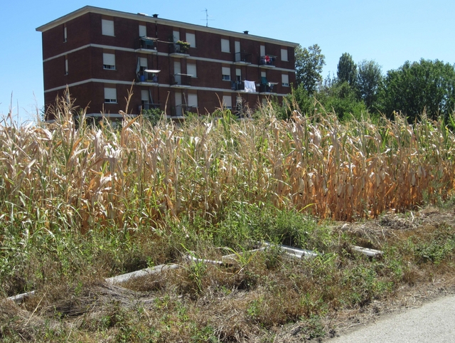 Amianto, scoperta una discaricanelle campagne di Macherio