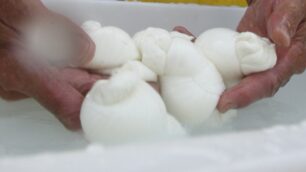 A un mercato del seregnesele mozzarelle nel bagagliaio