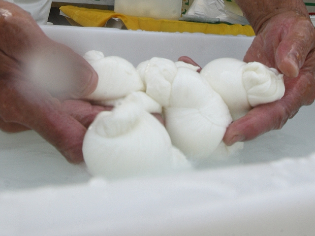 A un mercato del seregnesele mozzarelle nel bagagliaio