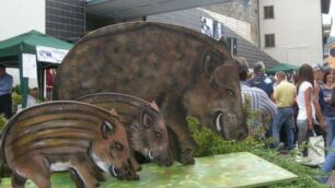 Peia, torna la sagra del cinghiale
