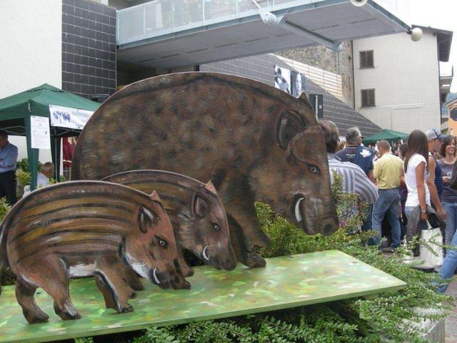 Peia, torna la sagra del cinghiale