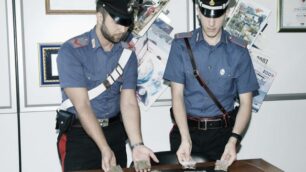 Seregno: arrestato in via Firenzeuno spacciatore-coltivatore