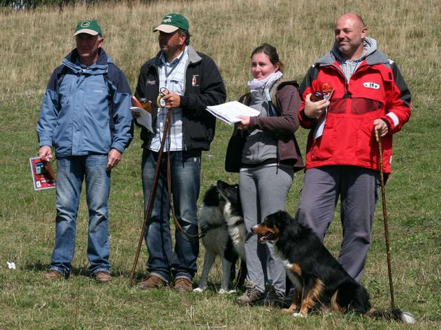 Sheepdog: a Valcavaspettacolo con 70 binomi