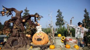 Minitalia fa rimacon HalLEOween