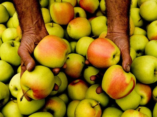 Val di Non: Pomariala festa delle mele