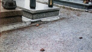 Muggiò: petizione contro i cani«Basta ai bisognini al cimitero»