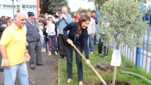 Seregno, un ulivo in giardinoper il secolo della scuola Mercalli