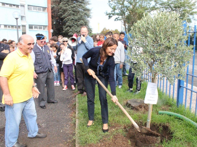 Seregno, un ulivo in giardinoper il secolo della scuola Mercalli