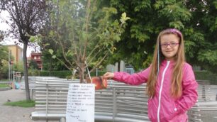 Monza, Lucretia e l’albero rubatoUna favola a lieto fine a Triante