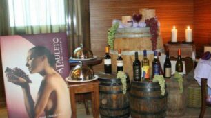 Vinoterapia, non solo brindisiLa cura alle Terme della Fratta