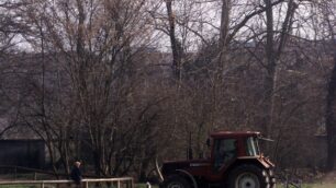 Furti di attrezzi e di bestiameLe aziende agricole depredate