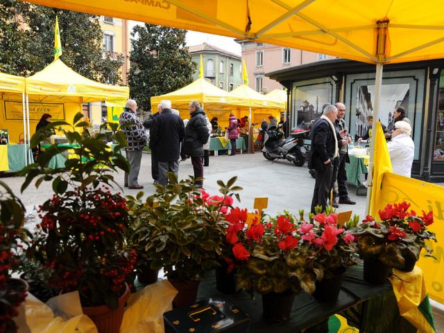 A Ponte San Pietroil farmers’ market