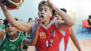 Basket, Memorial Manzoni al viaMonza gioca con la Gerardiana