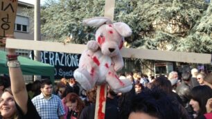 Migliaia in marcia contro HarlanCorteo di protesta a Correzzana