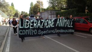 Corteo animalista a Correzzana“Urla nel silenzio” contro Harlan