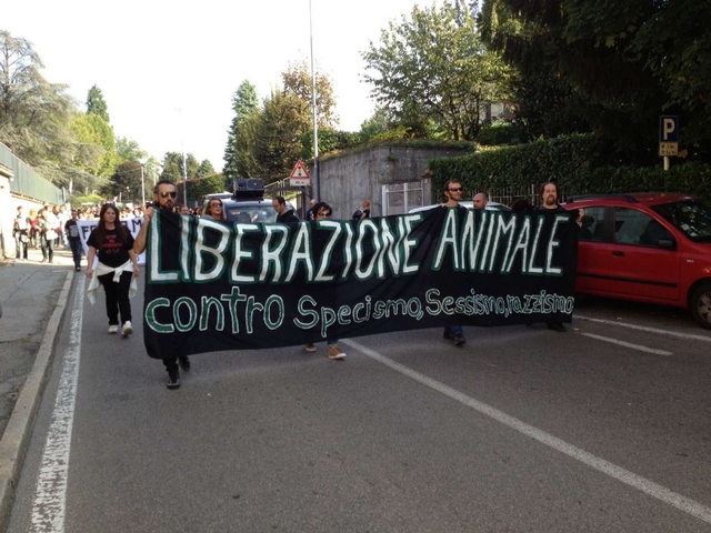 Corteo animalista a Correzzana“Urla nel silenzio” contro Harlan