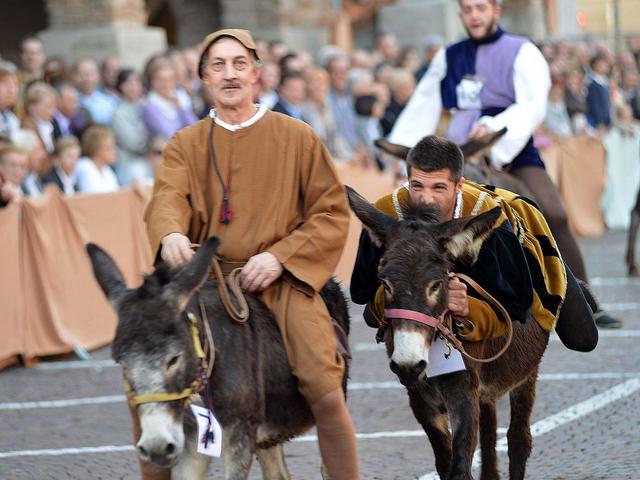 Palio degli asini, folla a MartinengoMonica prima a tagliare il traguardo