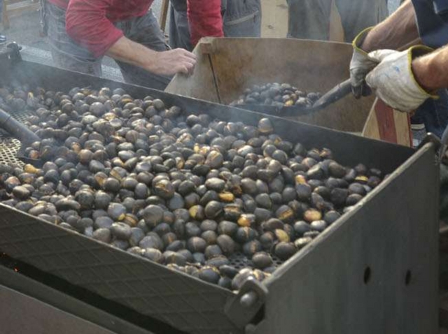 Crolla la produzione di castagneAutunno caldo, salgono i prezzi