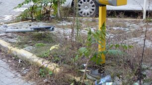 Monza, comitato per Sobborghi«Attenzione agli spacciatori»