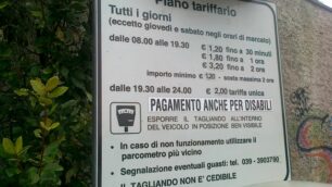 Monza, sosta sulle strisce bluPer i disabili il parcheggio è gratis
