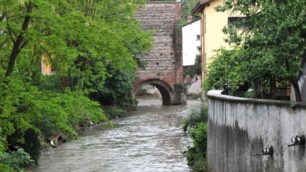 Vimercate, l’unione fa la forzaI parchi non vivono senza «Pane»