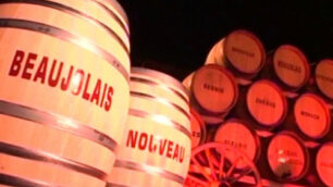 Brugherio festeggia il BeaujolaisIl novello si stappa in piazza Roma