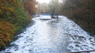 Monza, marea bianca nel LambroUno strato di schiuma nel parco