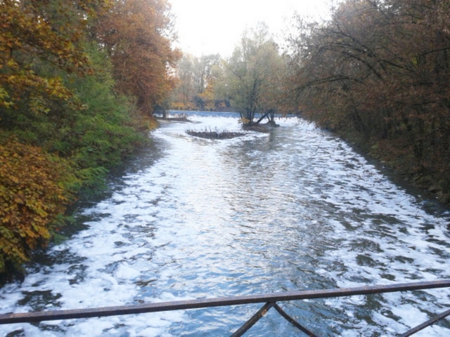 Monza, marea bianca nel LambroUno strato di schiuma nel parco