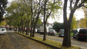 Albiate, via una fila di alberiper allargare il parcheggio