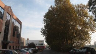 Brugherio, salvati dal posteggioOra le bici abbattono gli alberi