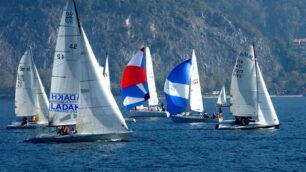 Appuntamenti di domenica 25 novembre