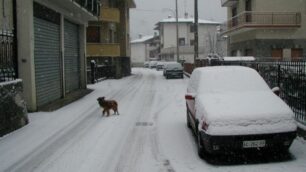 Gelo siberiano fino a metà meseA dicembre altre forti nevicate