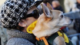 E’ inverno anche per gli animaliI consigli utili dell’Enpa Monza