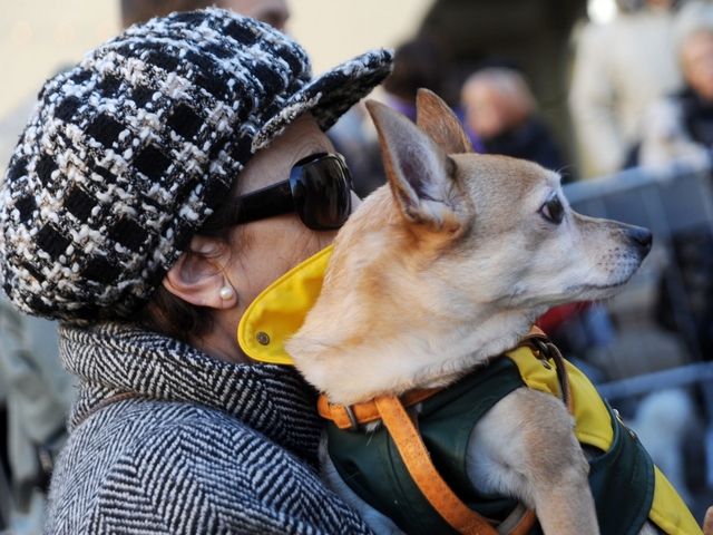 E’ inverno anche per gli animaliI consigli utili dell’Enpa Monza