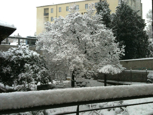 Meteo, dal sole freddo alla neveFiocchi già dall’alba di lunedì