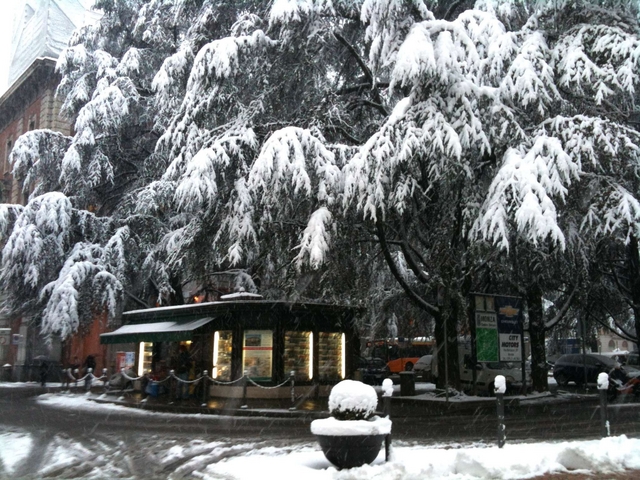 Viaggio a Monza sotto la neve immagine