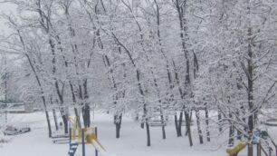 Da Big snow all’Orso siberianoNeve da giovedì e fino alle elezioni