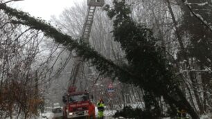 Arcore, alberi caduti per la neveLesmo, fuoristrada per il ghiaccio