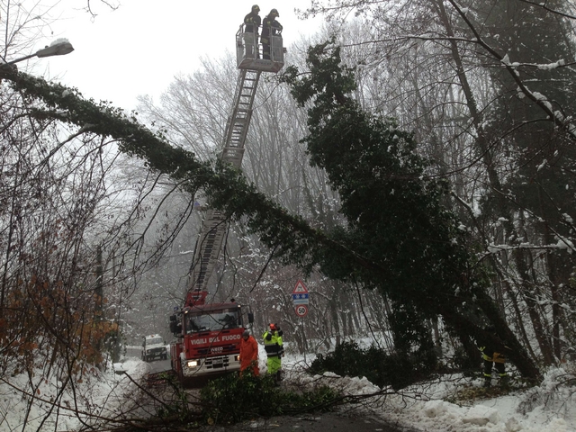 Arcore, alberi caduti per la neveLesmo, fuoristrada per il ghiaccio