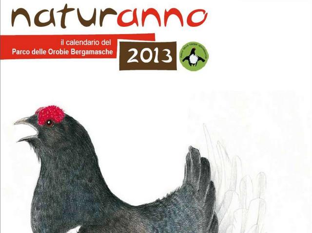 «Bellezze nostrane»promuovono Bergamo