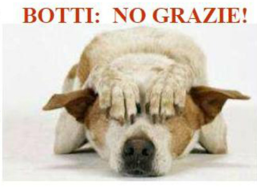 Capodanno senza botti a DesioIl Comune anche per gli animali