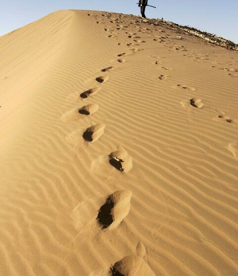 Tour e concertonel Sahara tunisino