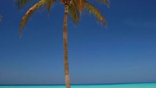 Aruba con i bimbiE in viaggio di nozze