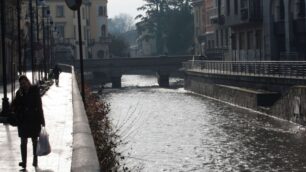 Monza, la proposta di Piffer«Test antidroga ai consiglieri»